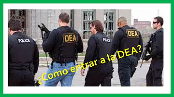 ¿Cuántos años se estudia para ser agente dela DEA?