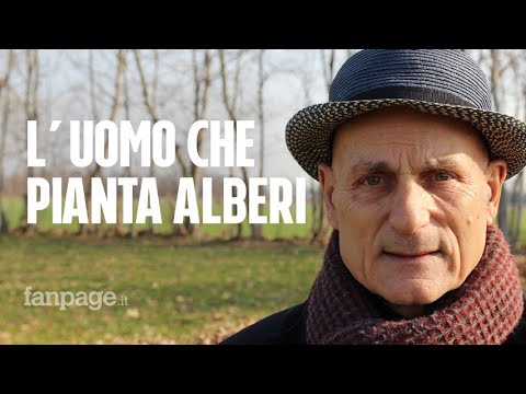 Video: Piantare Alberi In Campagna