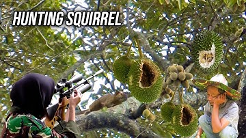 Berburu Tupai Di Musim Durian Berbuah