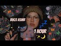 Asmr 1 hour bugs searching  plucking with tweezers crunchy bugs scratching 