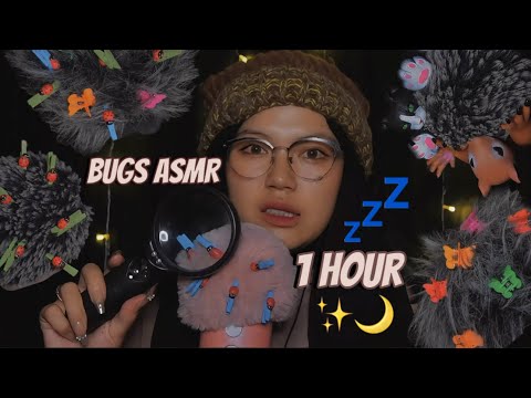 ASMR 1 Hour Bugs Searching ( Plucking With Tweezers, Crunchy Bugs, Scratching )