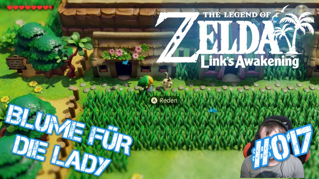 ⚔️ The Legend of Zelda Link's Awakening 17 Im Zoodorf sind viele