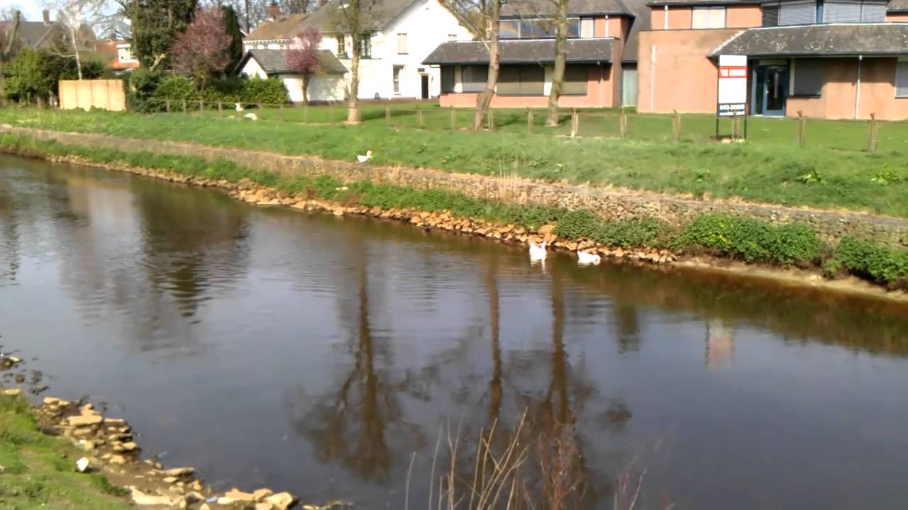 Rivier Aa Veghel - YouTube