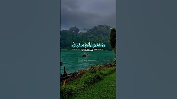 الله يعلم ما تحمل كل أنثى وما تغيض الأرحام وما تزداد وكل شيء | سورة الرعد | القارئ عبدالرحمن مسعد