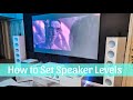 Understanding Speaker Levels Like a Pro!