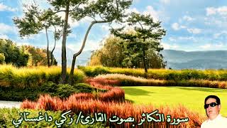 سورة التكاثر بصوت القارئ/ زكي داغستاني - Surat Attakathur