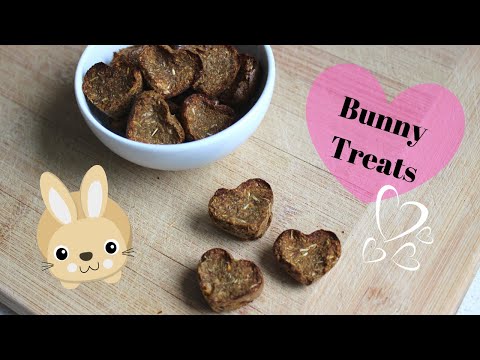Comment faire lapin Treats!