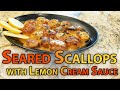 Seared Scallops with Lemon Cream Sauce | Chef Lorious