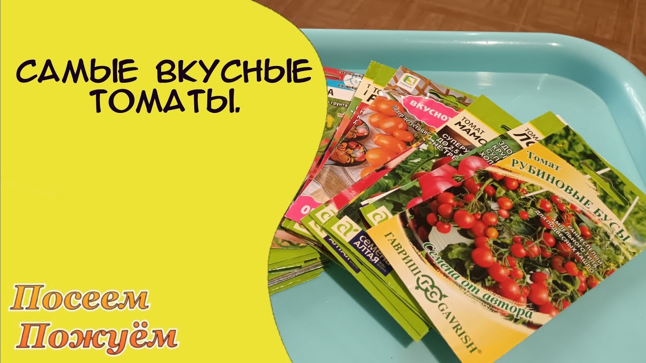 Самые лучшие семена томатов.