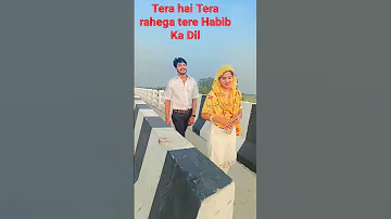Tera Hai Tera Rahega Tere Habib Ka Dil Pablic Indian Bhuanbam Love Waif Ibrahim420comedy Nr2StYle 