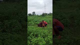 kisi kisi#viral #funny #trending #comedy #shorts #youtubeshorts #youtube #minivlog #bts #gavthi