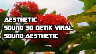 cinematic bunga | lagu aesthetic | lagu 30 detik | flowers