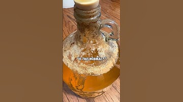 Homebrewing Basics 🍻 Part 1