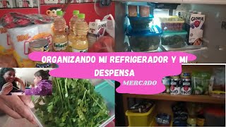 Compras en el mercado. Organización de refrigerador y despensa. Mis tips para conservar las verduras