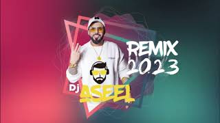 ريمكس حسب مزاجي   ديجي أصيل             ريمكس  جديد سمعها
