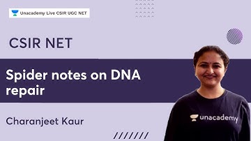 Spider notes on DNA repair | DNA repair pathways | PYQs explained | Charanjeet Kaur