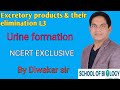 Excretory products &amp; their elimination L3