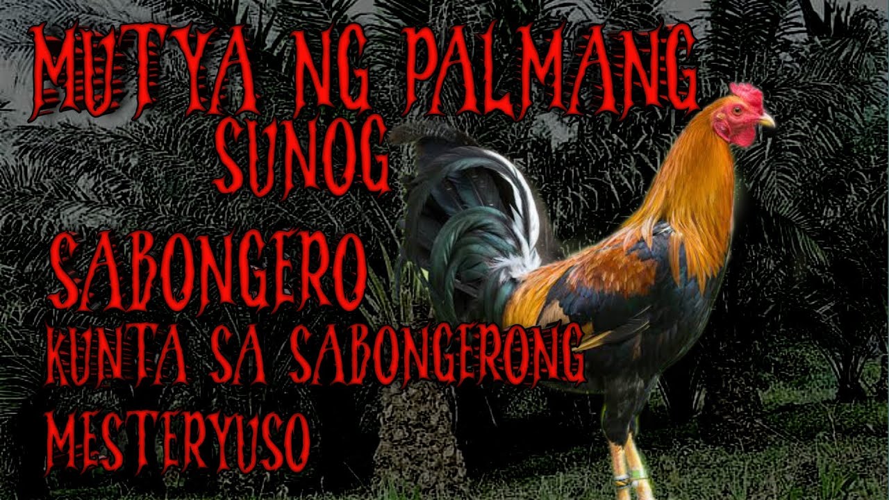 SABONG STORY MUTYA NG PALAMANG SUNOG FULL episode