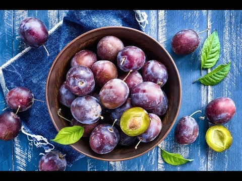 PLUM CITY, USA - PLUM CITY, USA