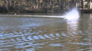 Experimental Genesis 'M' Hull
