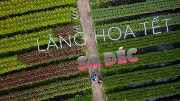 Làng hoa Sa Đéc 2018 ở Đồng Tháp rộn ràng vào Xuân chuẩn bị đón Tết Mậu Tuất 2018 | ZaiTri