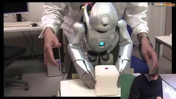 Lecture 08, UVM Evolutionary Robotics Course (Spring 2016). Minimal cognition.