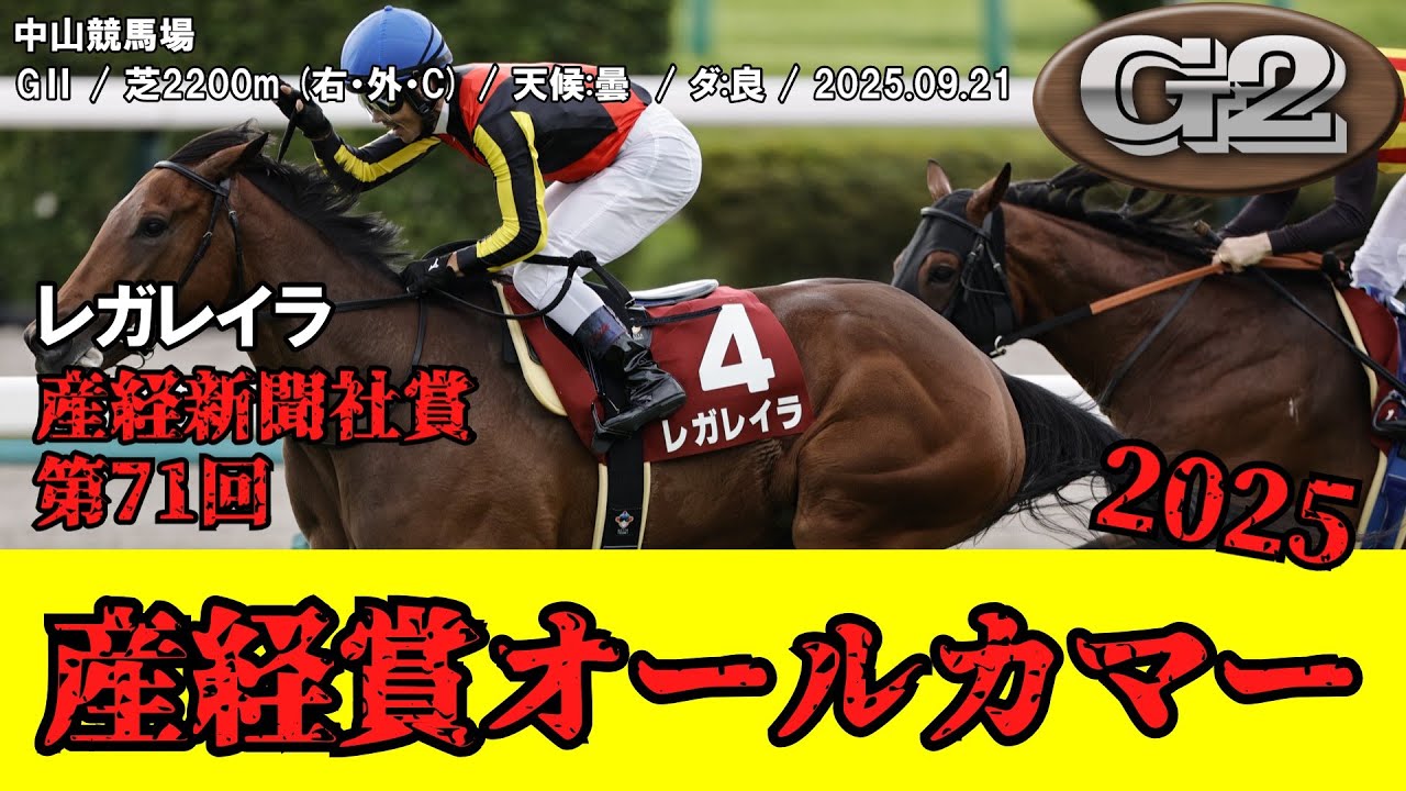 競馬パネル：ヒシアマゾン「1995年第41回産経賞オールカマー」 競馬パネル：ヒシアマゾン「1995年第41回産経賞オールカマー」 競馬