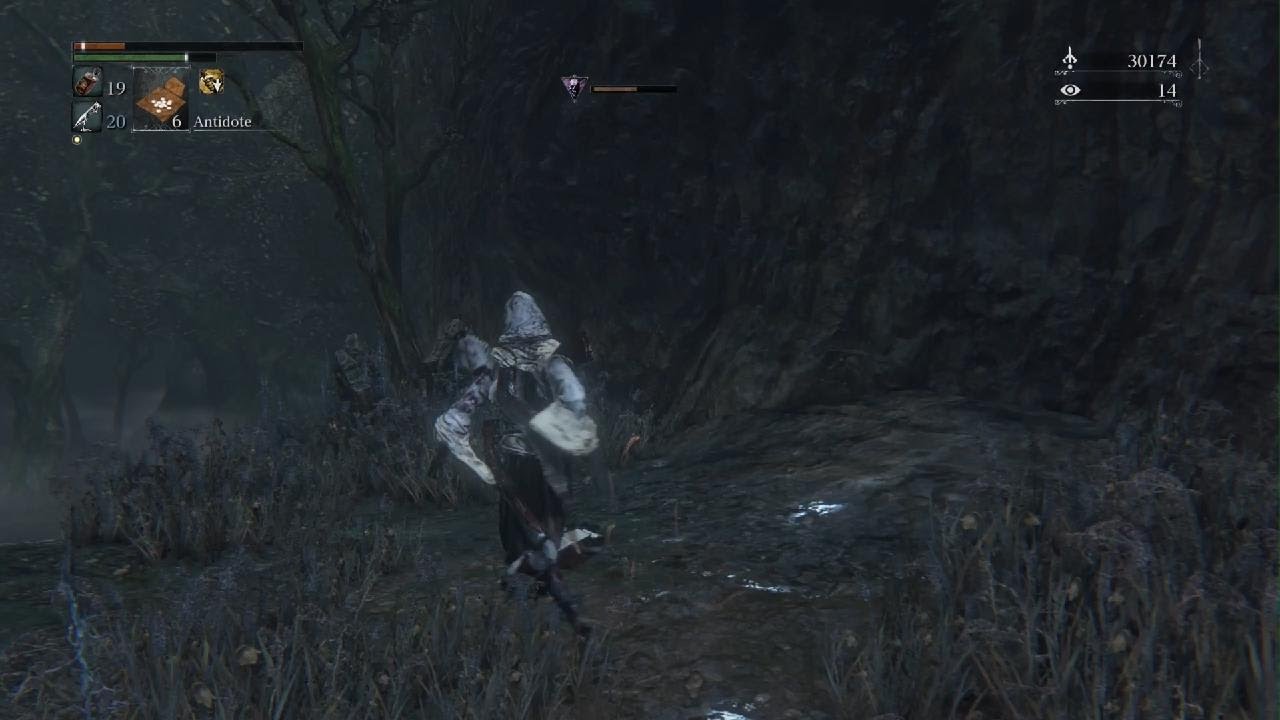 Bloodborne Snake Rally - YouTube