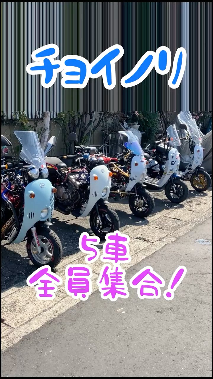チョイノリ★再募集 スズキ チョイノリ｜モーターサイクルランドフューチャー｜新車・中古