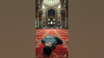 #القارئ  عبد الرحمن مسعد |اكتب شيئ تؤجر عليه
