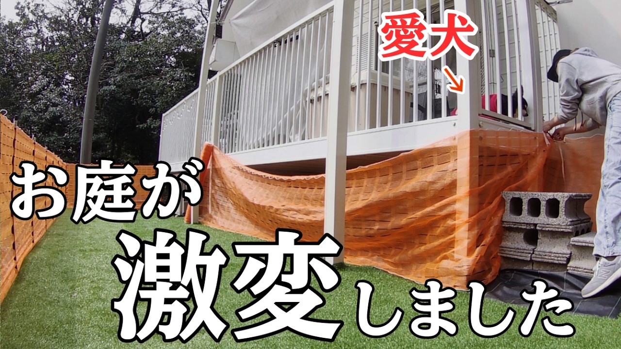 【田舎暮らし】古民家宿の庭に女性1人DIYでミニドッグランを作ってみた結果…愛犬の反応が可愛すぎました｜旬の山菜で夜ごはん