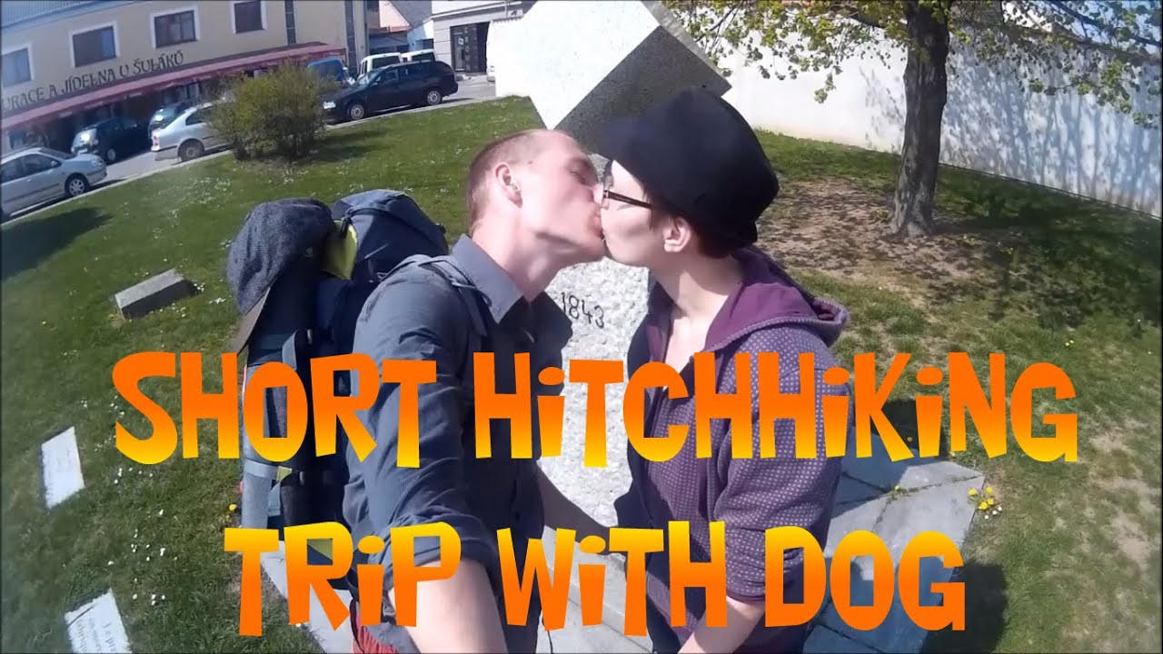 Short hitchhiking trip with dog YouTube