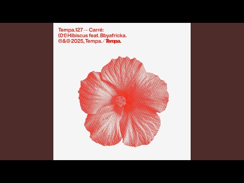 Hibiscus artwork
