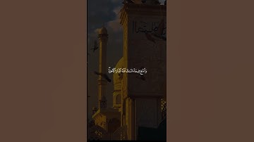 وابتغ فيما آتاك الله الدار الآخرة | محمد ايوب  | سورة القصص اية 77