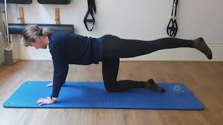 4 point kneeling single leg stretch with extension