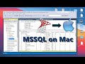 How to install ms sql server on mac and create databases  step by step