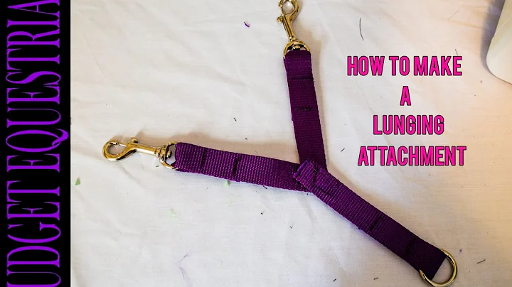 DIY Lunging Attachment: Step-by-Step Guide