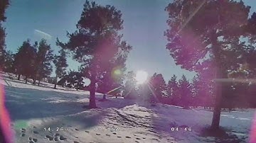 Byte Frost in the forest (comparison to DJI FPV)