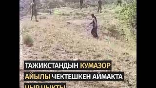 Кыргыз-тажик чек арасында чыр чыгып ок атылды