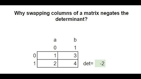 Why swapping columns or rows of a matrix negates the determinant? #maths #matrix #algebra #cs