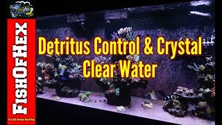 Control Detritus And Have Crystal Clear Water In A Bare Bottom Tank