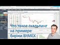 Что такое скальпинг на примере биржи BitMEX