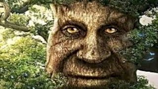 UNUSUAL MEMES COMPILATION V66