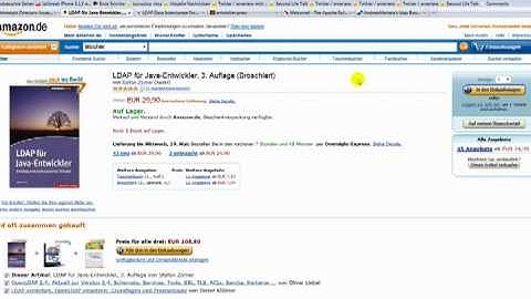 LDAP Tutorial 1 / 3 - ApacheDS, Apache Directory Studio Bundestag, Tomcat