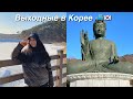 Выходные в Корее-Weekend vlog/ путешествуем по Корее 🇰🇷😊🚞