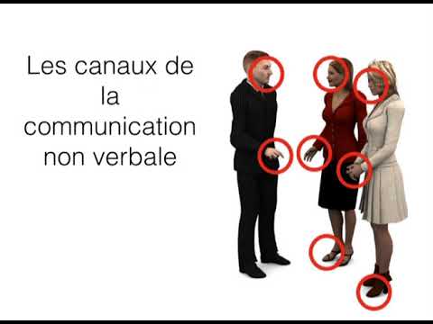 Vidéo: Qu'est-ce que l'étude du toucher dans un contexte de communication ?