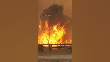 Fire Tornado CAUGHT on Camera—You Won’t Believe What It Did to the Sky!