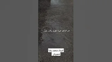 ببار ای بارون ببار استاد محمد رضا شجریان تصنیف بارون آلبوم شب سکوت کویر استاد کیهان کلهر شجریان 