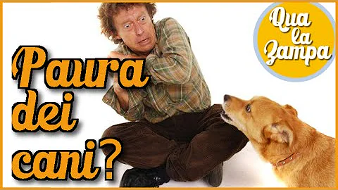 Chi ha paura dei cani?