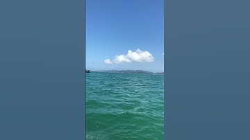 Cùng Pi network ra khơi xa #investtv #pinetwork #crypto #coin #pi #crypto